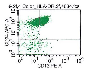 CD34 vs CD13